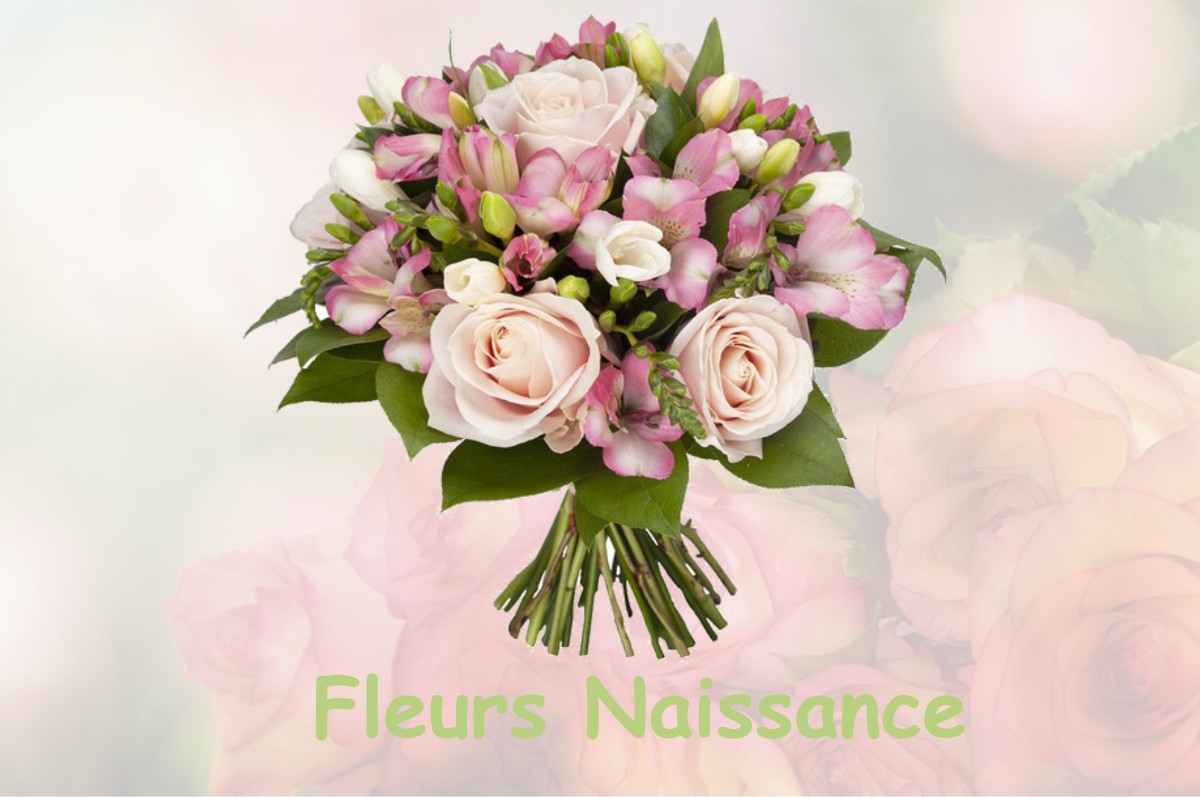 fleurs naissance VAUBECOURT