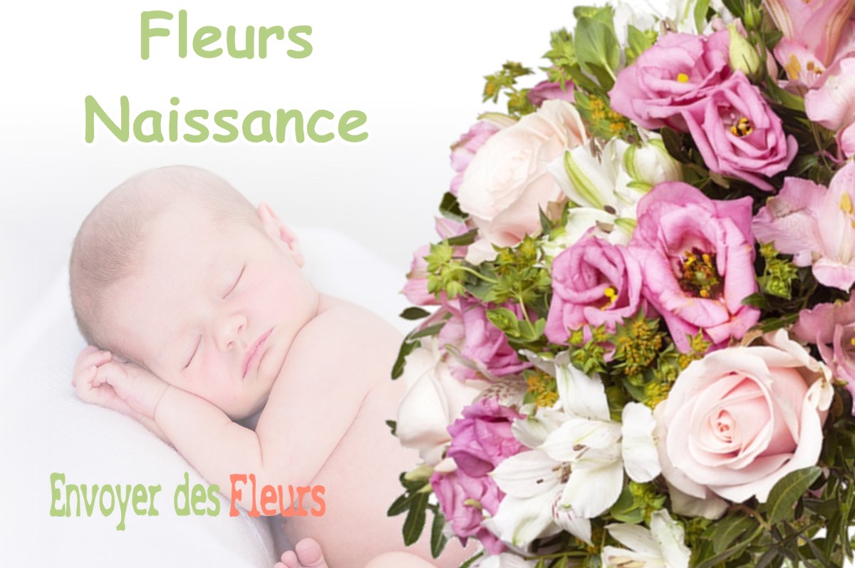 lIVRAISON FLEURS NAISSANCE à VAUBECOURT